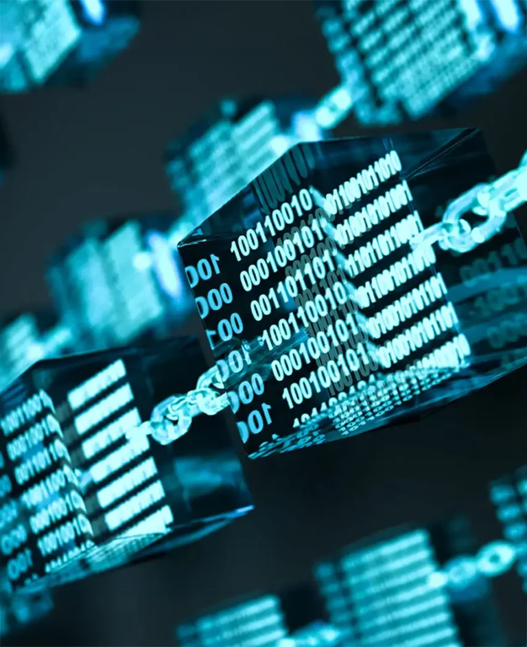Digital blockchain network with linked blocks and binary code